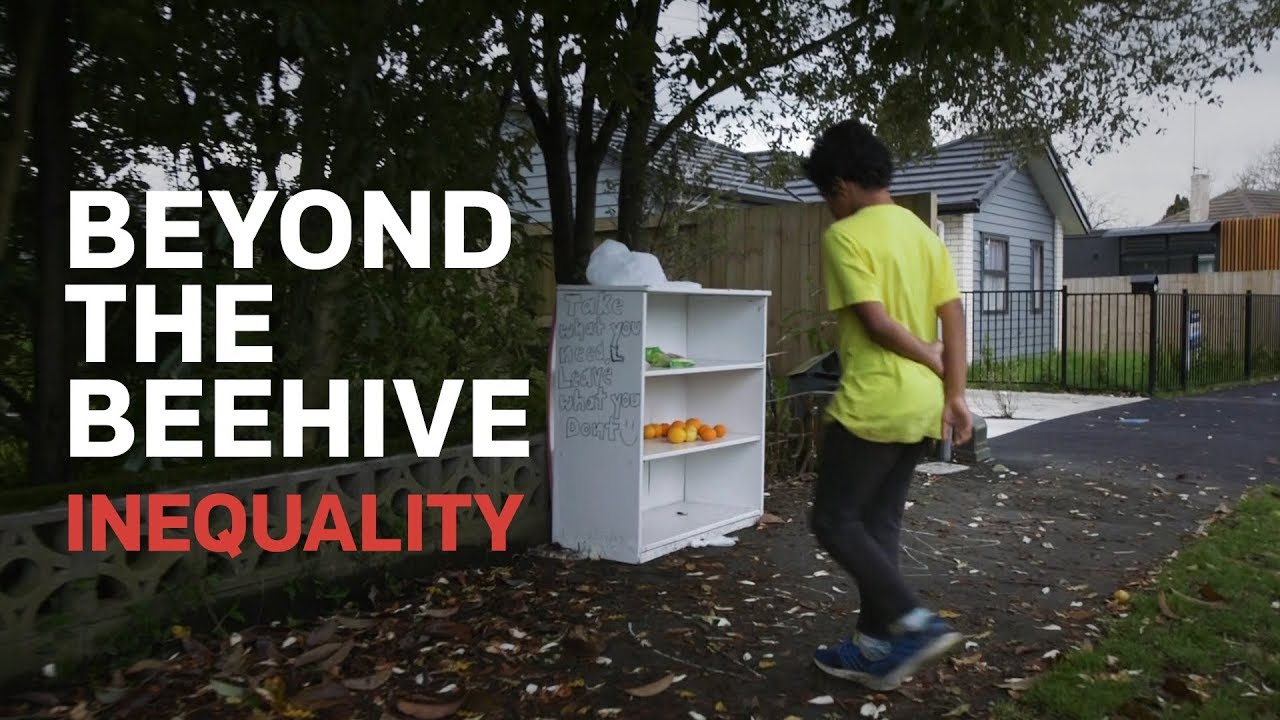 Beyond the Beehive: Inequality