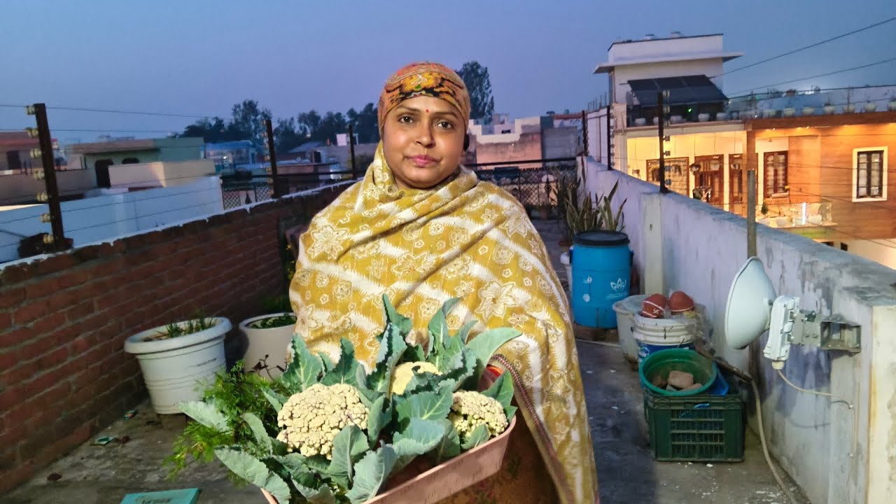 Aaj toh tokri bhar gayi #renutomarvlogs 