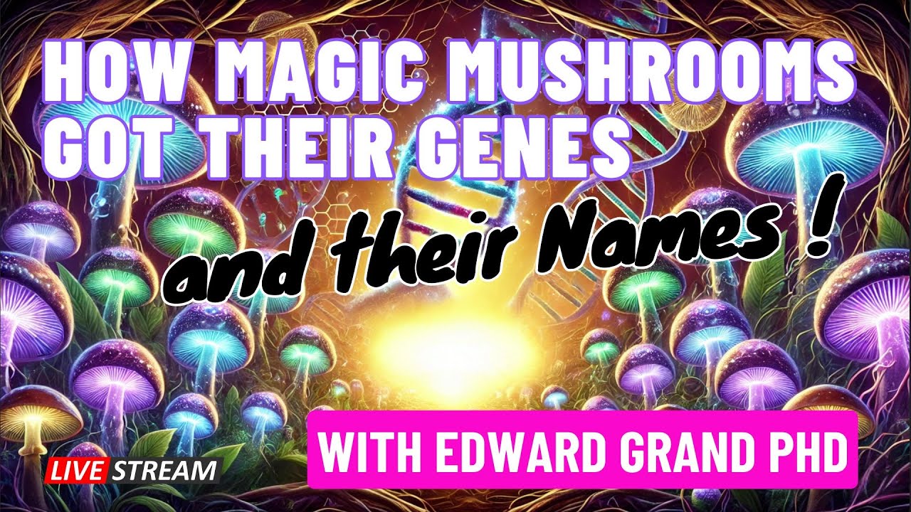 How Magic Mushrooms Got Their Genes—and Their Names with Edward Grand PhD