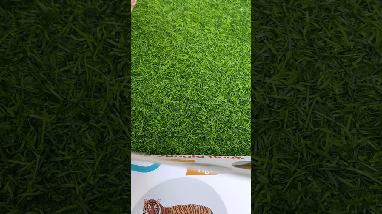 Order in amazon.in - India's First Real Motion Book - My Jungle Book - Interactive Learning For Kids