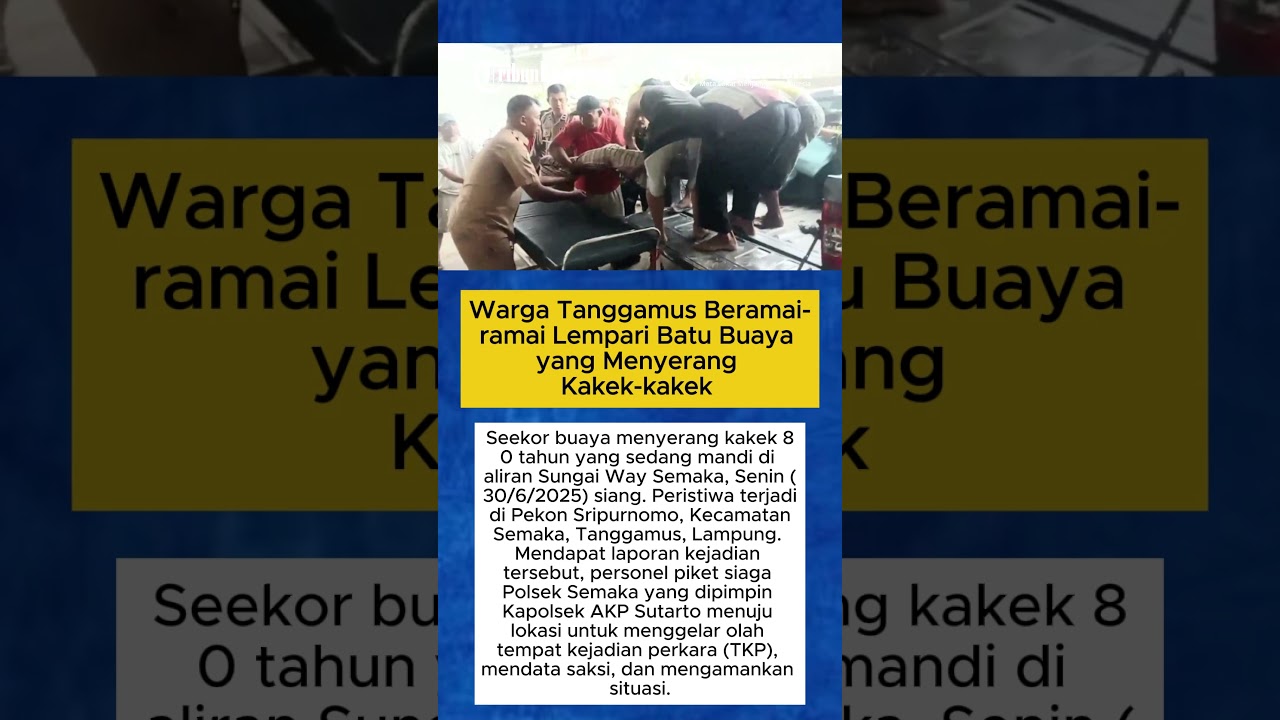 Warga Tanggamus Beramai ramai Lempari Batu Buaya yang Menyerang Kakek kakek