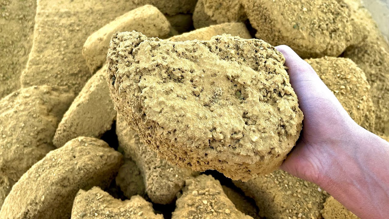New || 🥭Super dry crunchy Floor crumbling of Yellow block texture Mangoes ASMR 