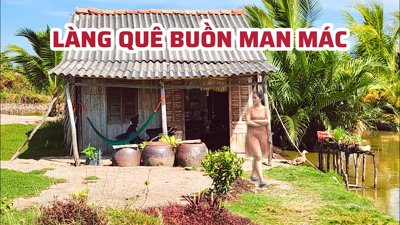 Làng Quê Nhìn Buồn Man Mác: Chỉ Thấy Cánh Đồng Lúa Xanh, Nhà Cửa Thì Thưa Thớt Vắng Bóng Người 2026