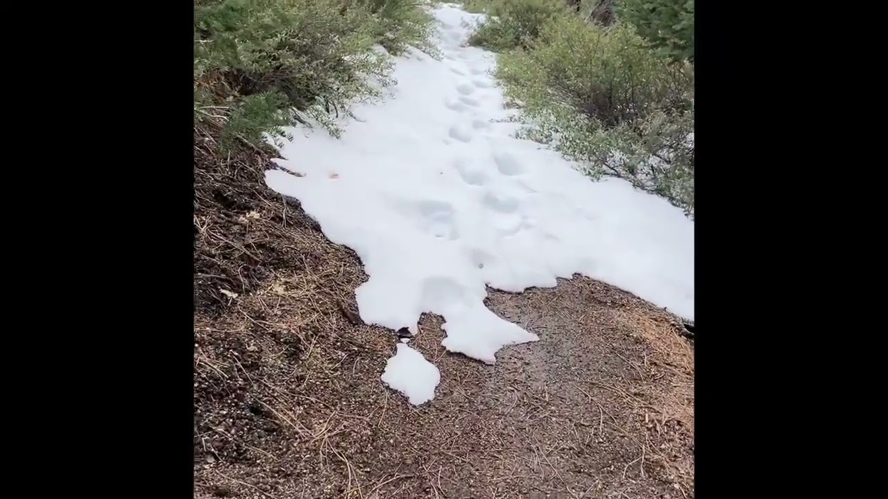 Pineknot Trail snowy hike