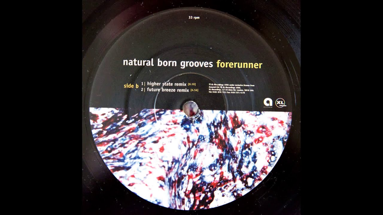 Natural Born Grooves - Forerunner (Future Breeze Remix) (1995)