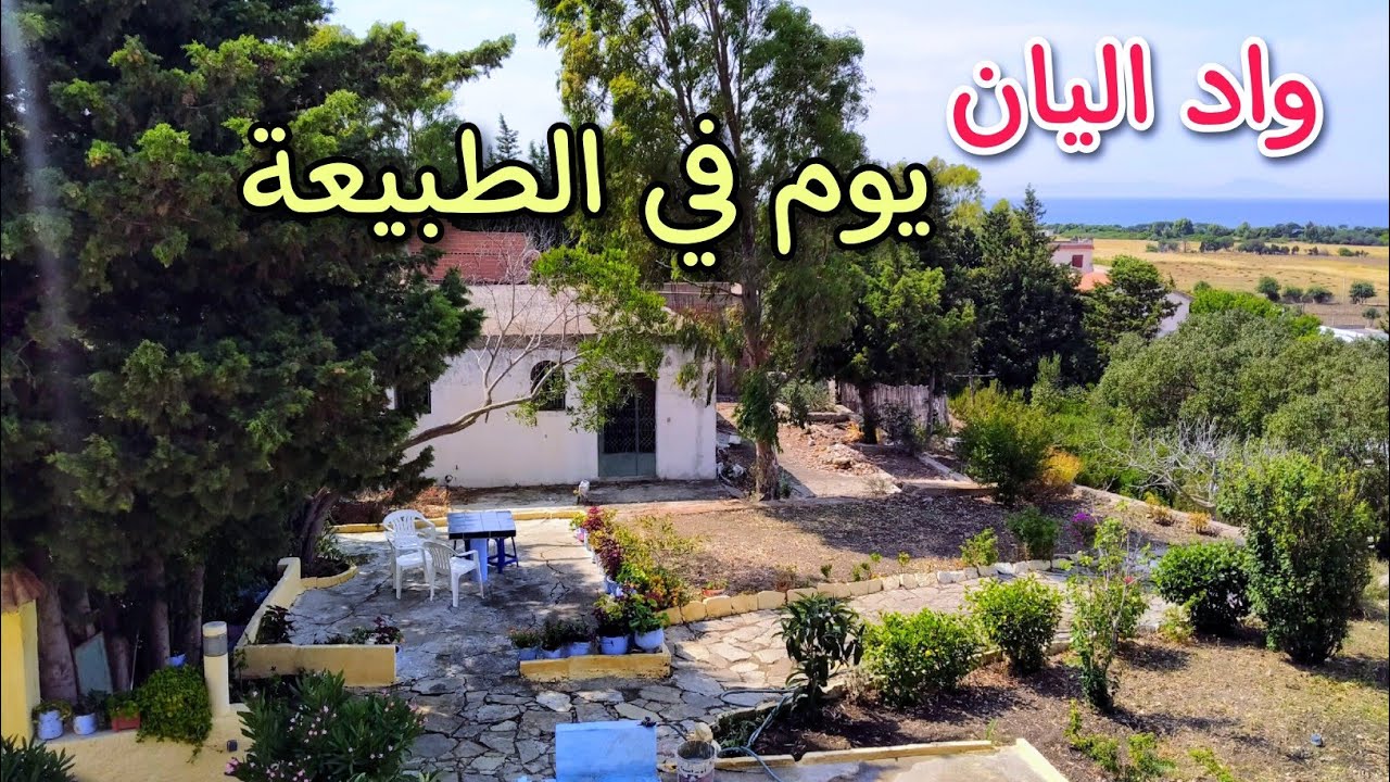 أجمل يوم في الطبيعة_ منطقة واد أليان طنجة 🇲🇦