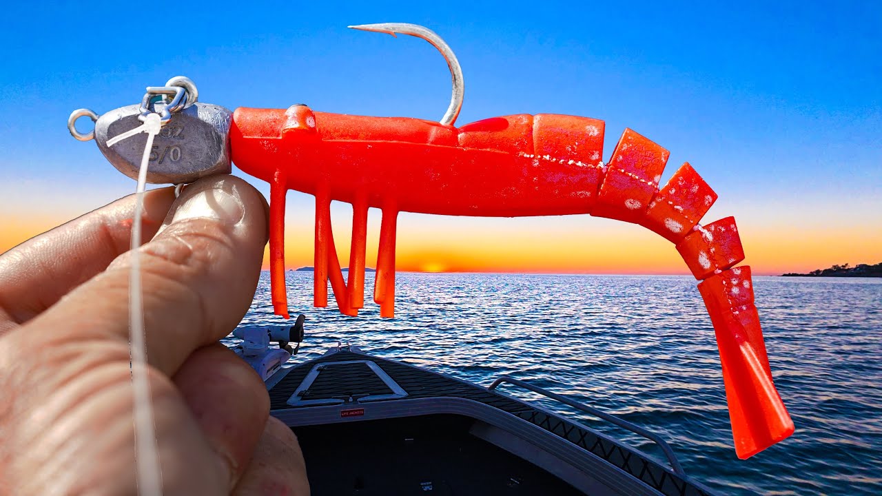 The New Prawn IS KILLER!
