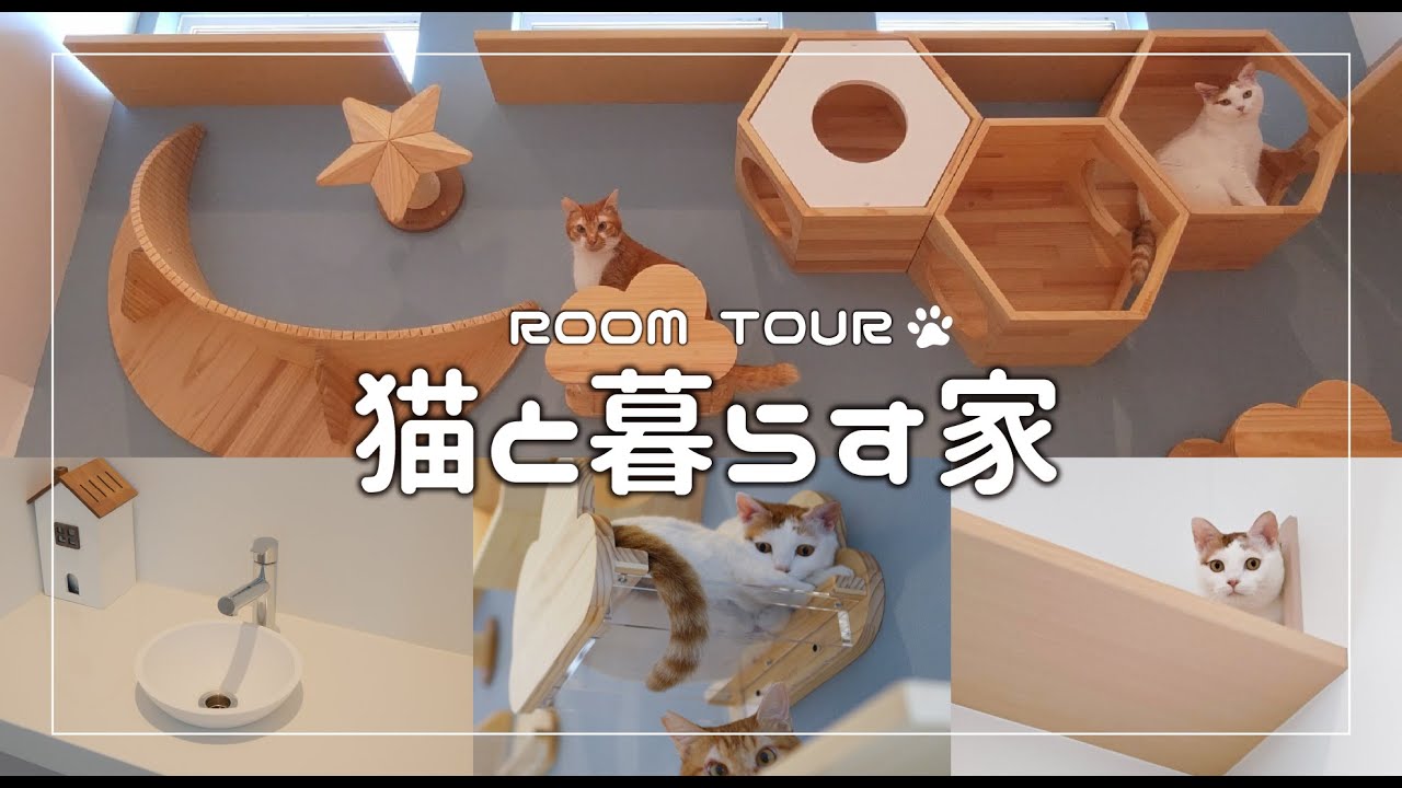 【ルームツアー】猫と暮らす家丨猫も人も快適に暮らせる工夫満載丨新築/キャットステップ/キャットウォーク/猫用水飲み場/狭小住宅