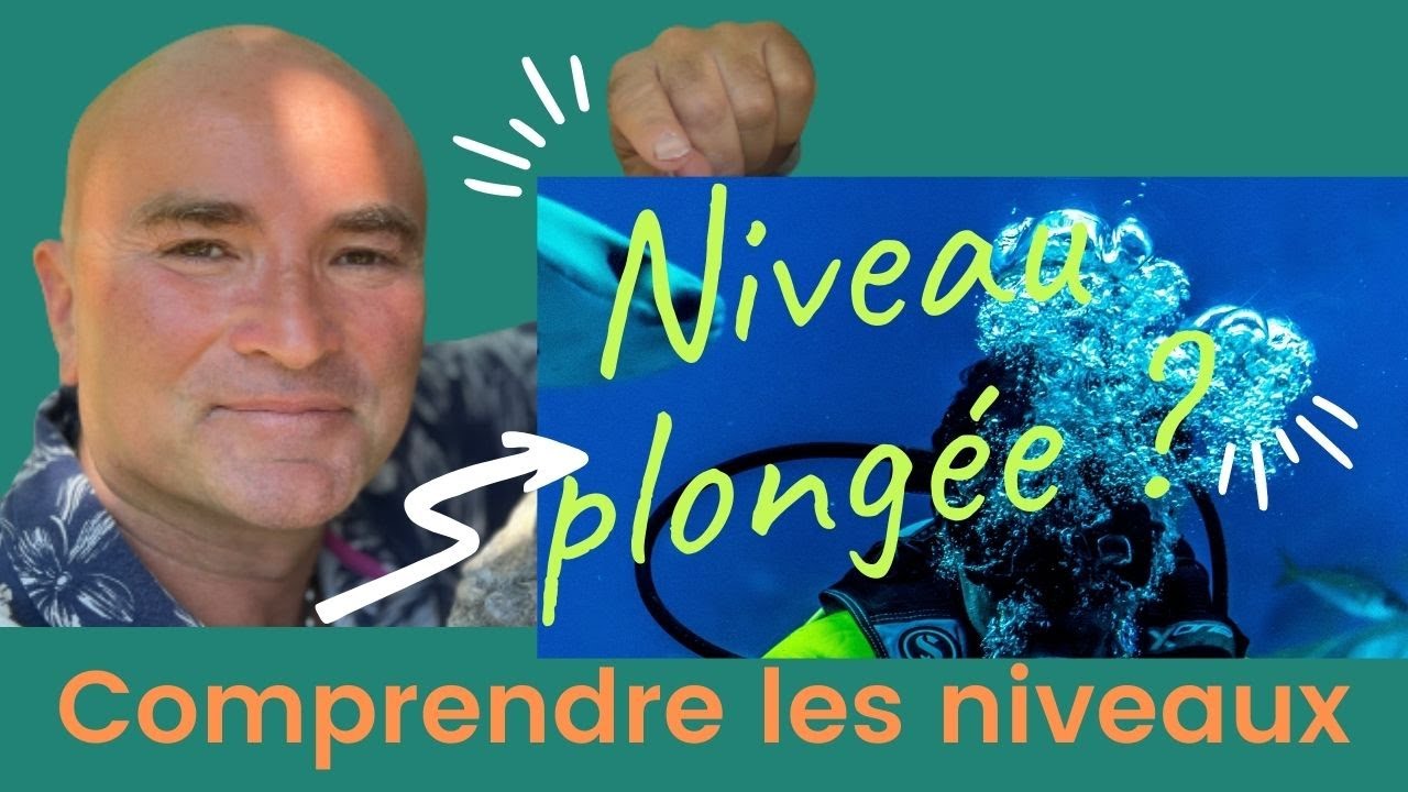 S'y retrouver dans la jungle des niveaux plongée 1 2 3 ? #plongeesousmarine #moniteurplongee