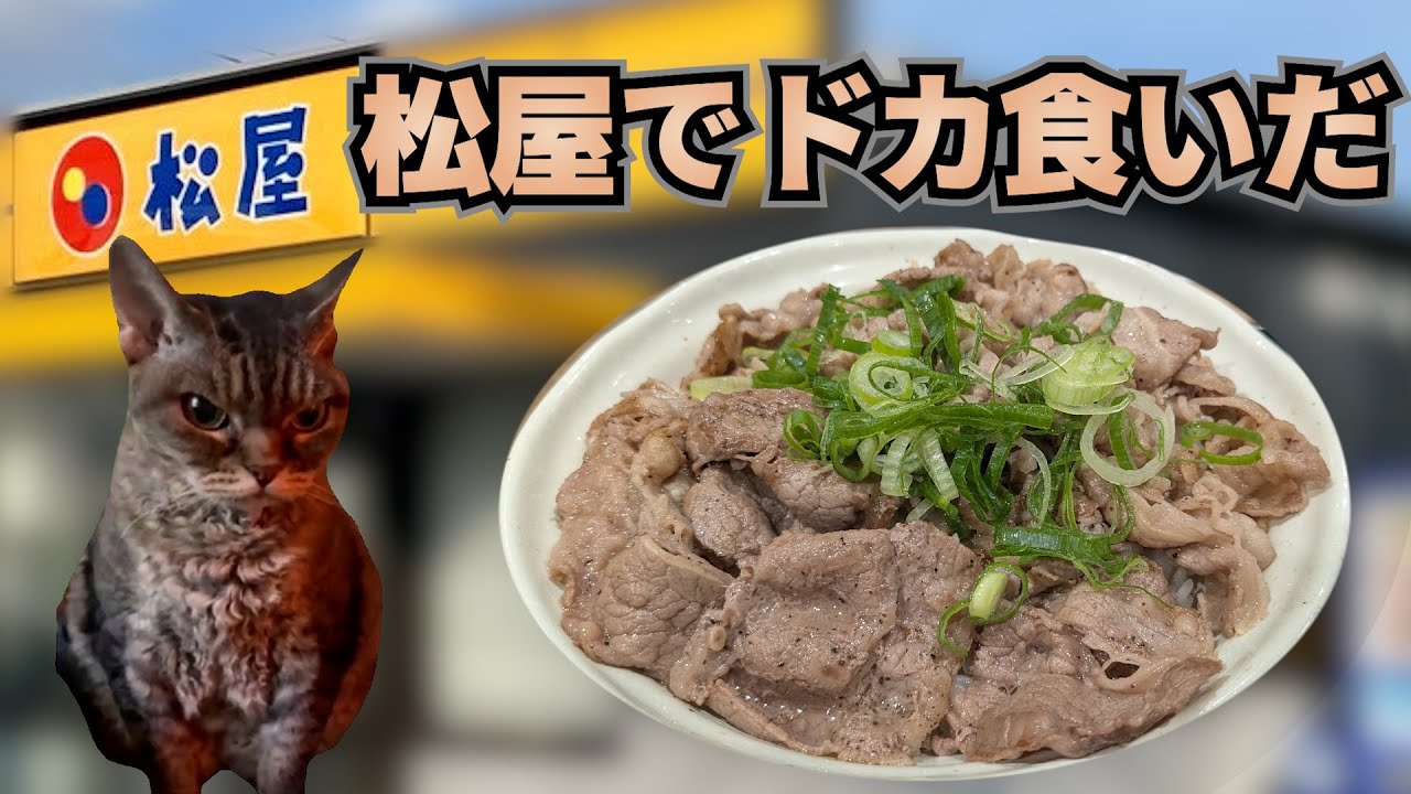 松屋でドカ食いした何気ない話【猫ミーム】