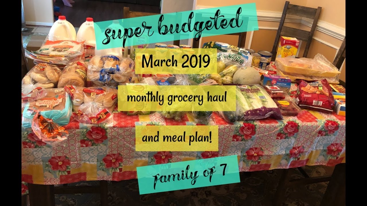😱SUPER MEGA BUDGETED😱 March 2019 Large Family Monthly Grocery Haul $326.32 | Walmart & Aldi Haul