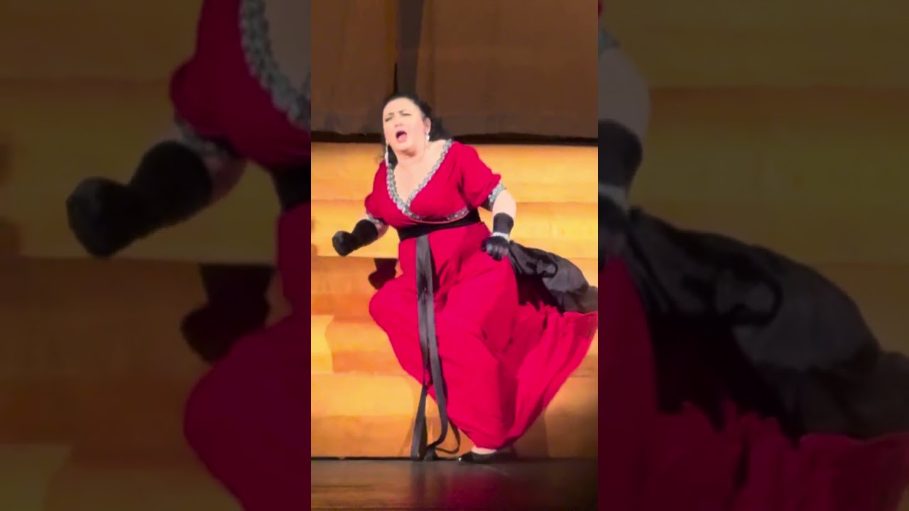 Nicoleta Ardelean - “Vissi d’arte”