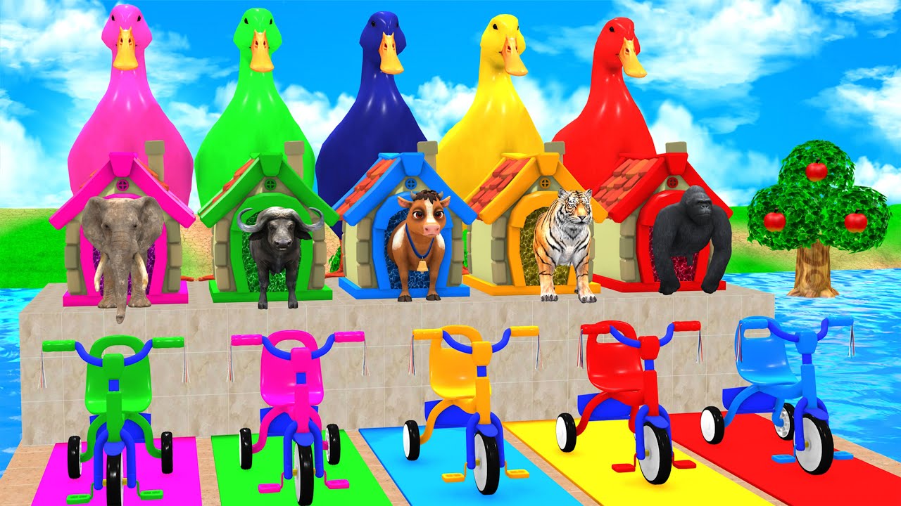 Cow, Gorilla & Tiger Compete on Giant Slide 😆 - Funny 3D Animals