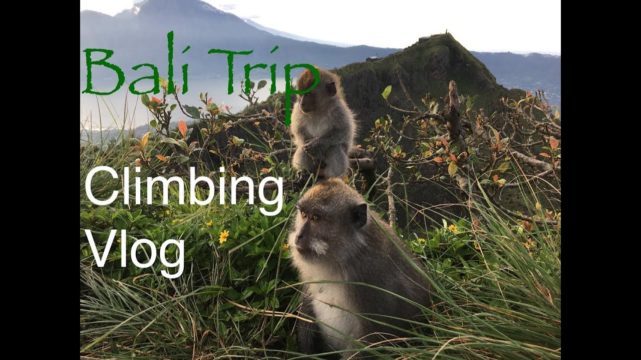 Bali Trip  - ClimbingVlog