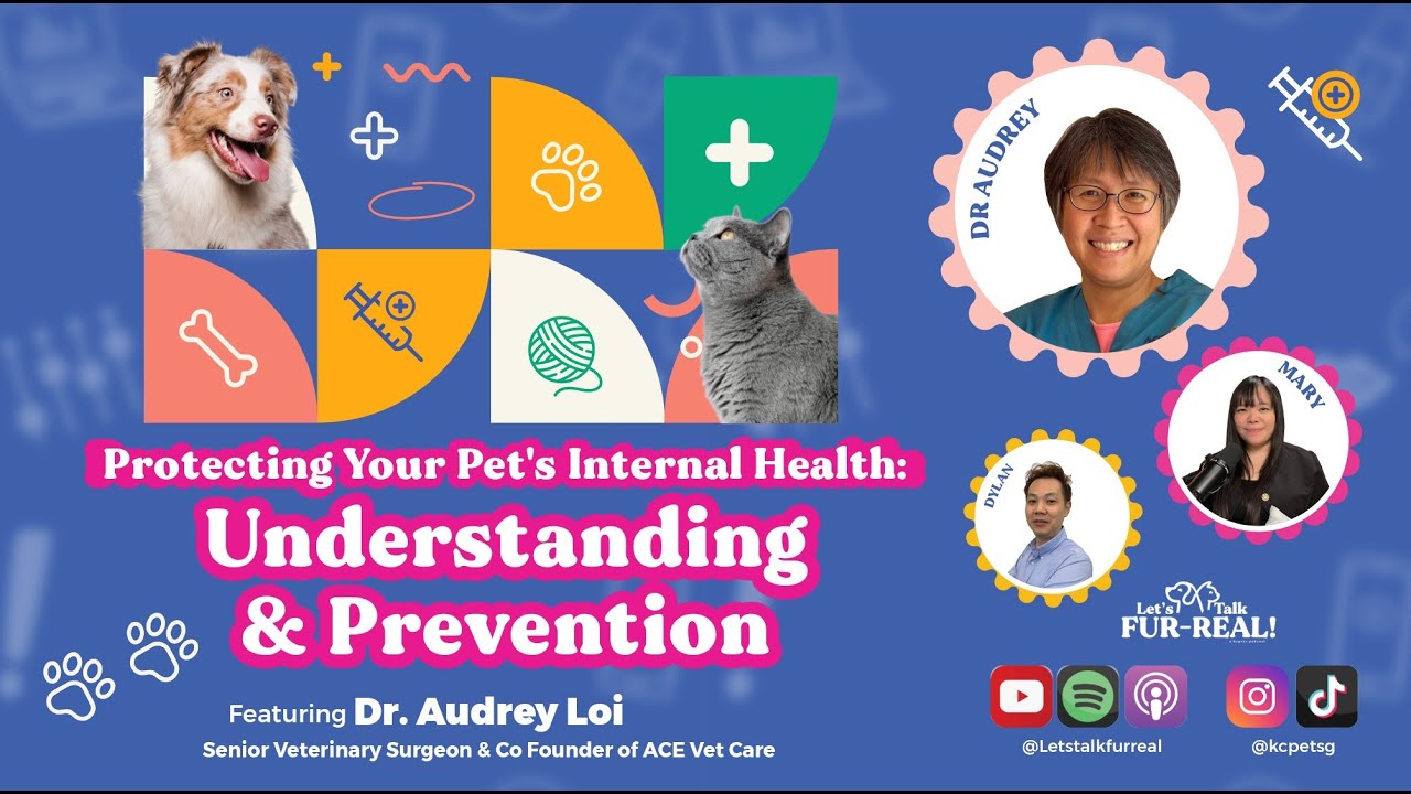 Protecting Your Pet's Internal Health: Understanding & Prevention Feat Dr Audrey Loi