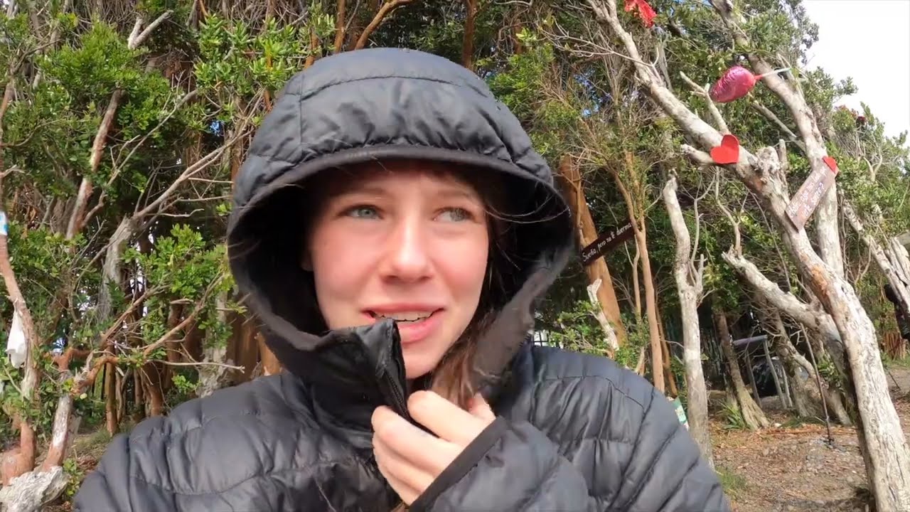 REISEN OHNE GELD - SO gehts!