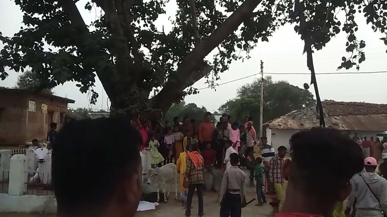 Rehchi Goverdhan pooja रेहची गांव 2024
