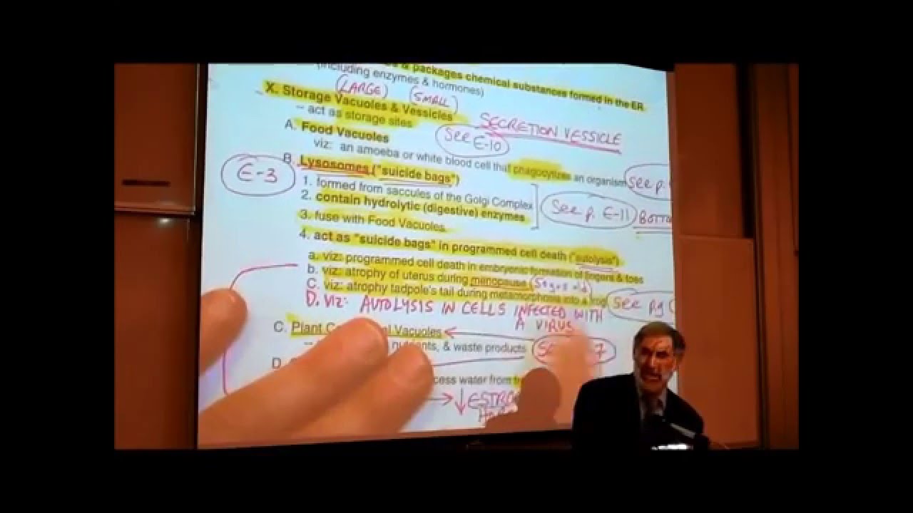 ANATOMY; REVIEW OF CYTOLOGY; PART 3 by Professor Fink