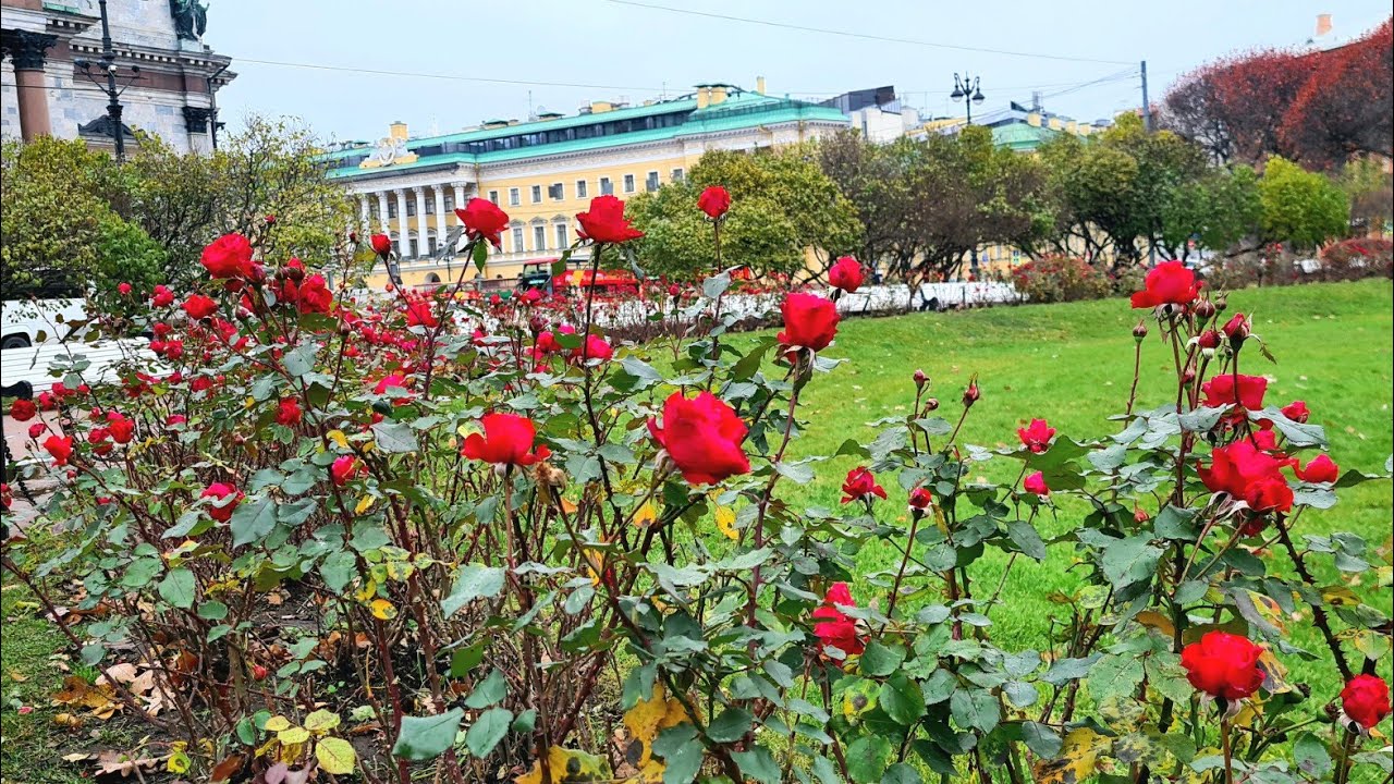 Санкт-Петербург. Осенний город.