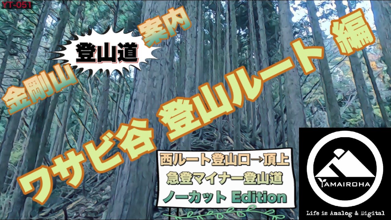 ［わさび谷登山ルート］金剛山登山道ガイド↗️植林と原生林の急登マイナー登山道 YT-051