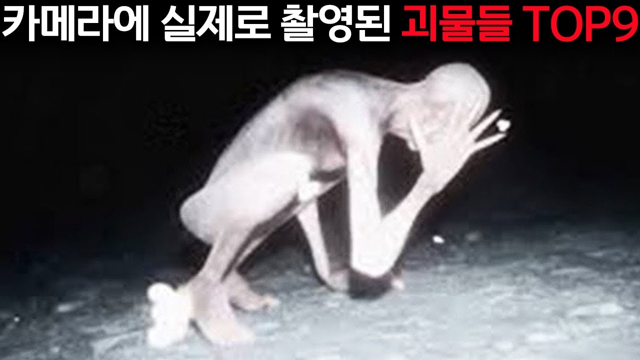SCP가 뭐야?
