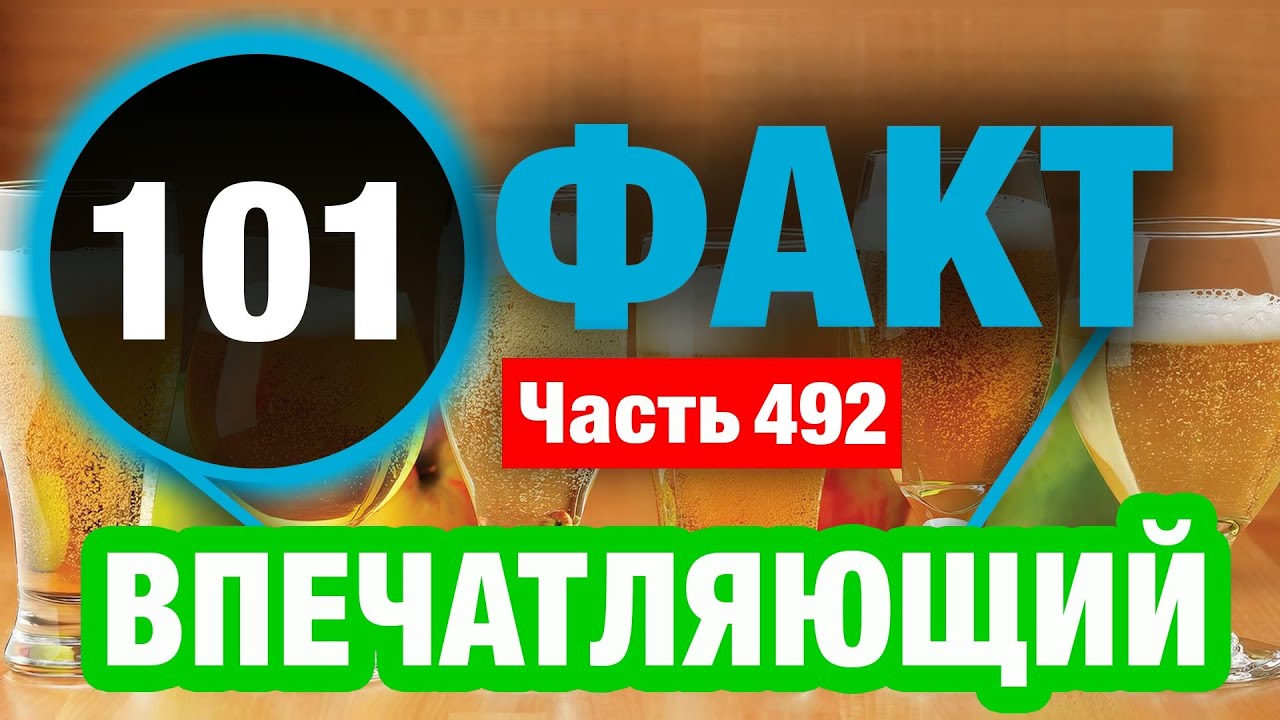101 Факт, Который Заставит Вас Удивиться