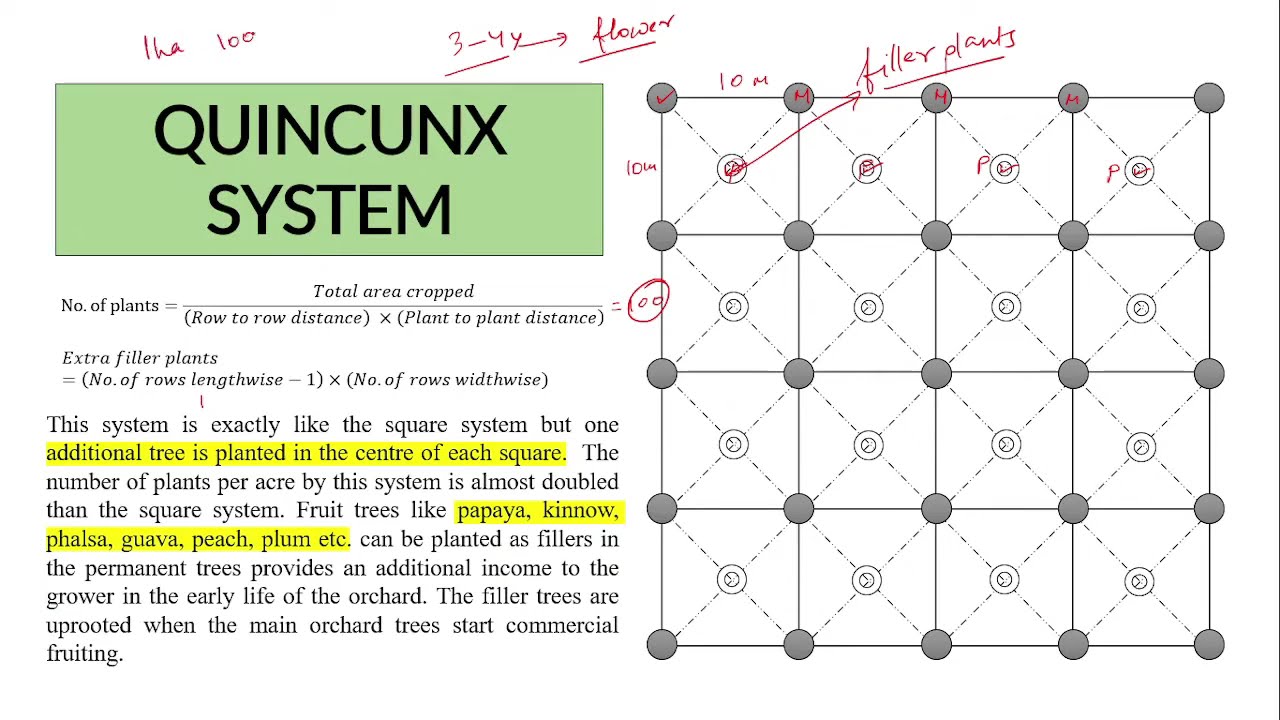 Planting system (calculation)