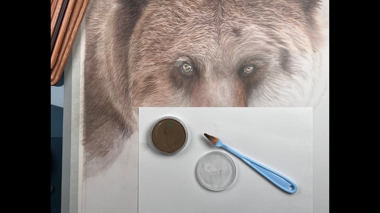 Using Pan Pastel on Drafting Film for Added Depth and Value