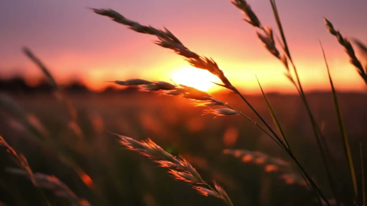 Italian 80s Instrumental Music 🎶 | Nostalgic Retro Vibes for Focus