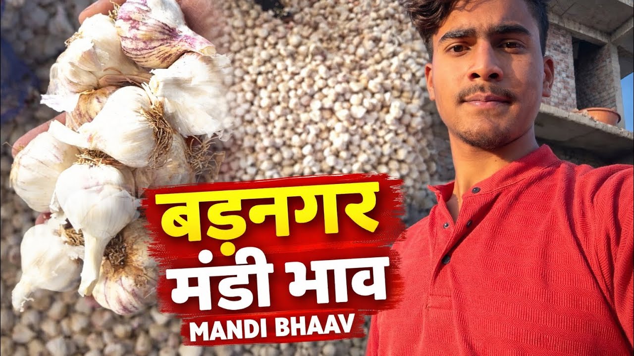  बड़नगर मंडी भाव09/03/2026