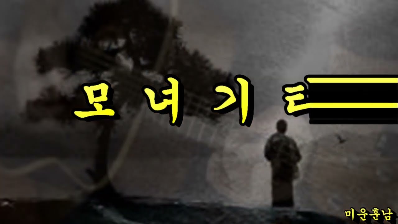 모녀기타  -  나훈아