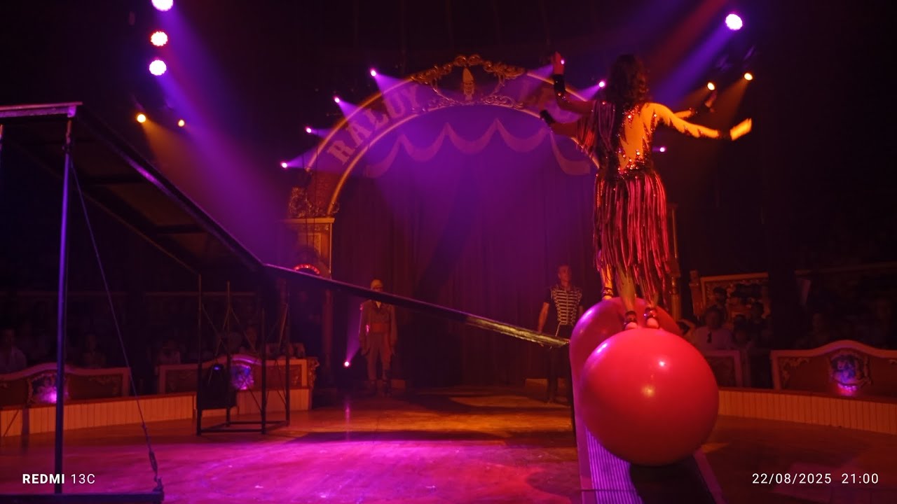 Hemos ido al circo raluy legacy, cyborg. Os recomendamos muchísimo ir! ✨💯
