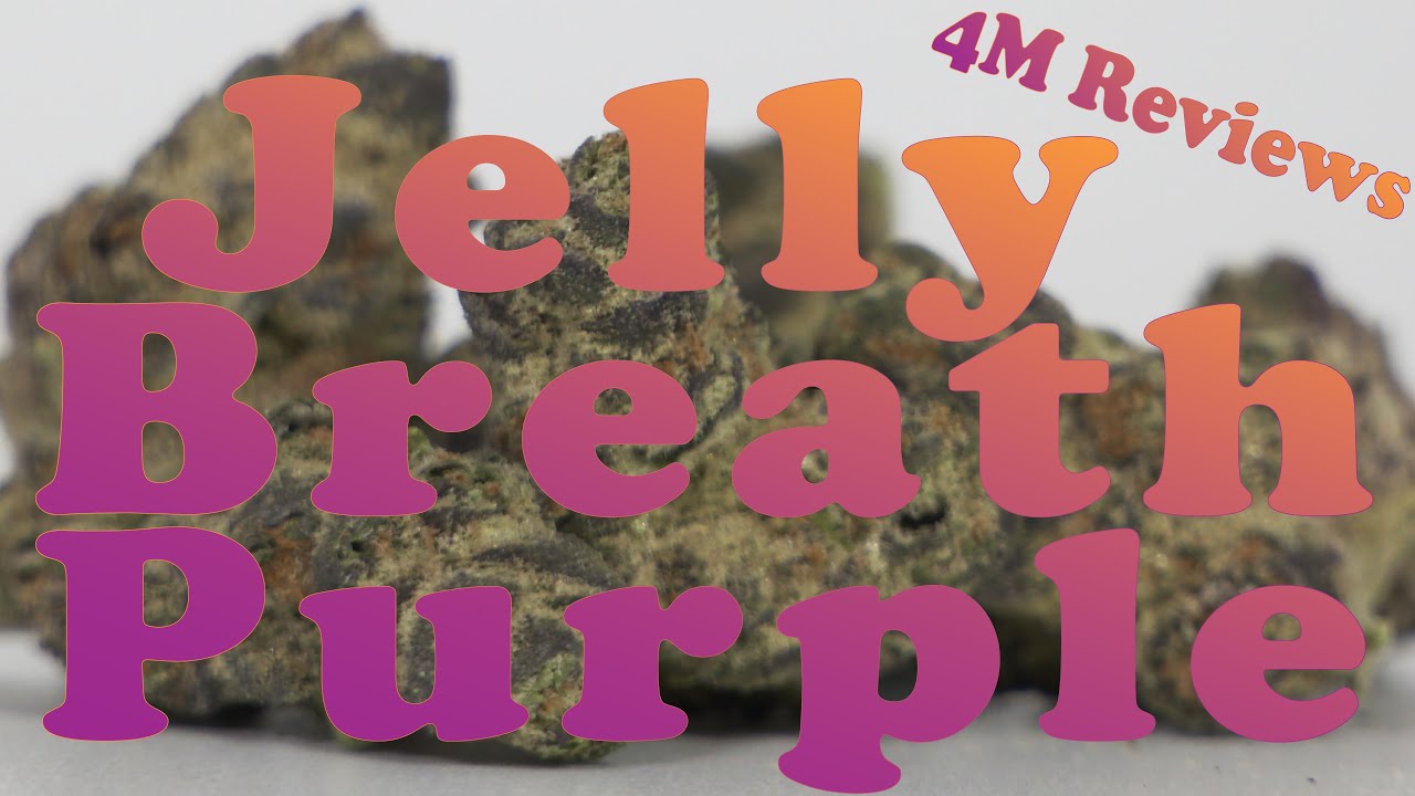 Jelly Breath Purple😤SHOULD be Better! | Minnesota Medical Marijuana Review | Green Goods Vireo