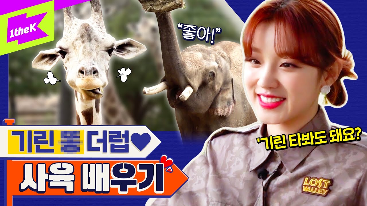 (여자)아이들 우기 드디어 기린 만났습니다! 🦒우기린🦒 극적 상봉의 순간 大공개! | (G)I-DLE YUQI | 런웨이 (LEARN WAY) EP.5 | 에버랜드