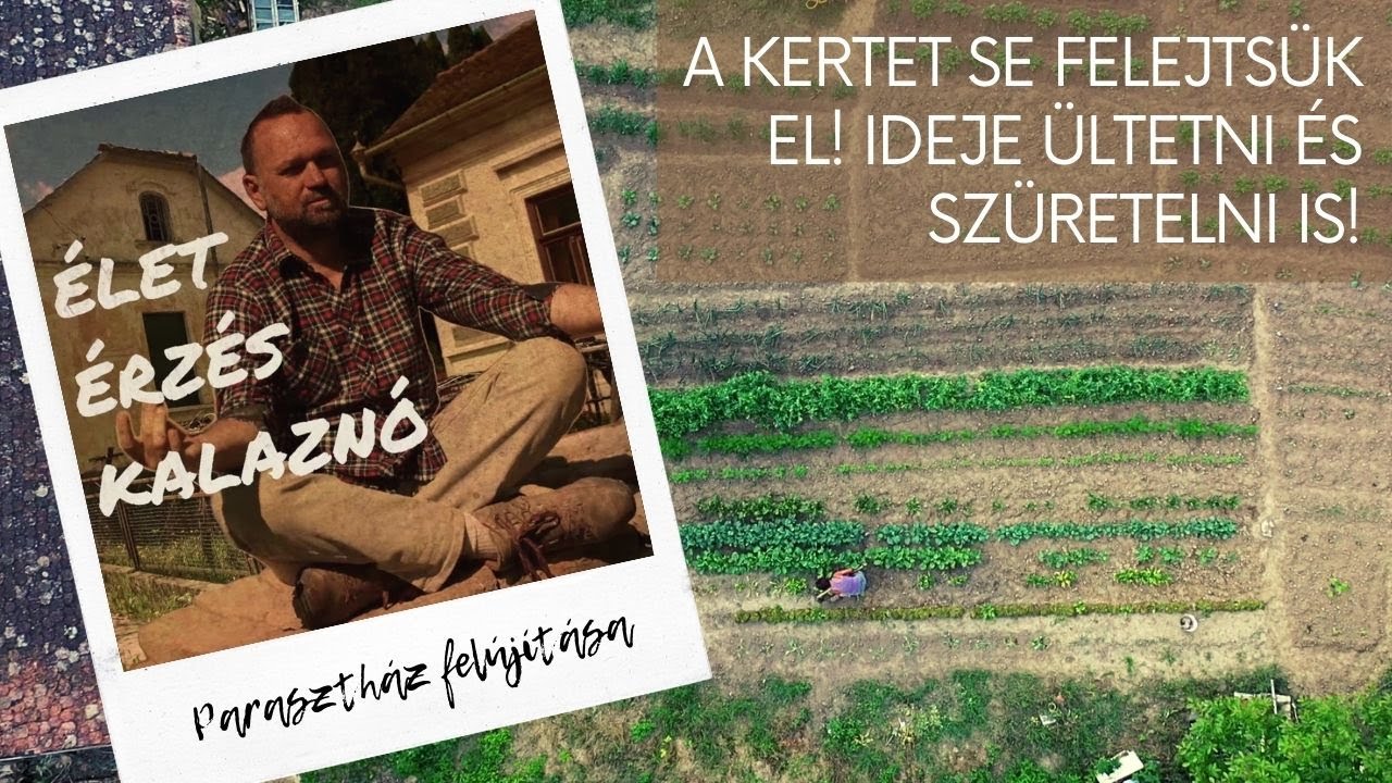 Élet. Érzés. Kalaznó. - Parasztház felújítása: a kertet se felejtsük el! Ideje ültetni és szüretelni