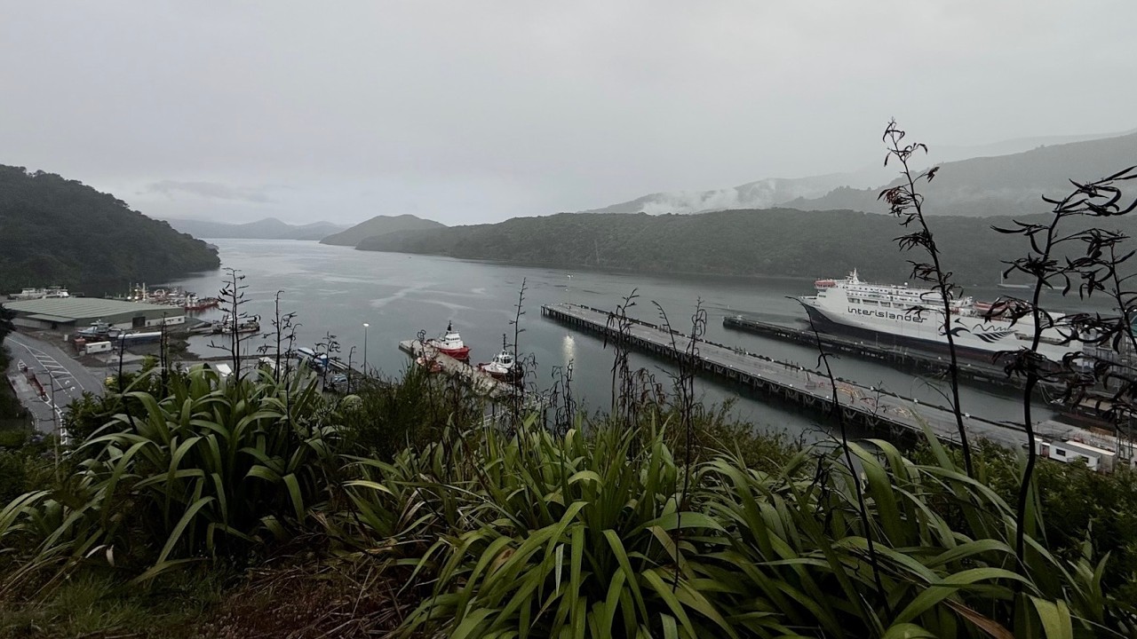 皮克顿 全景视频8K 360 View｜Picton South Island New Zealand