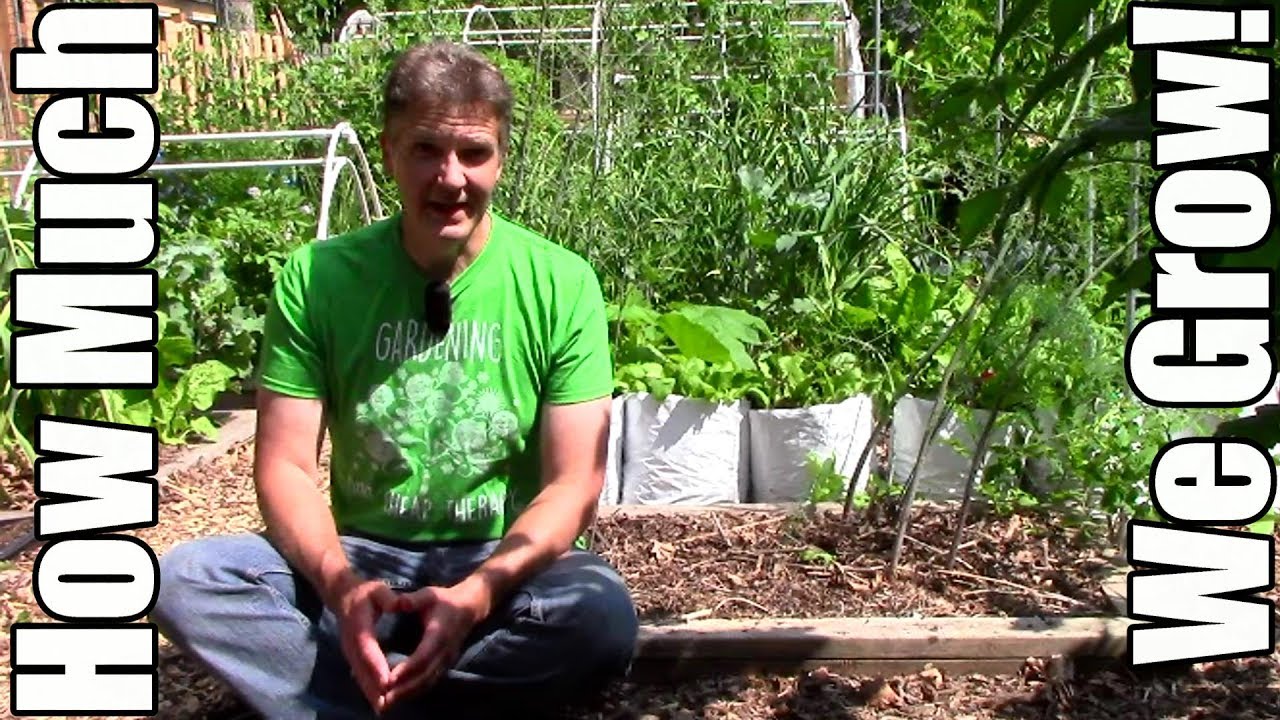Plant Produce from Garden vs Store, Spring Edition