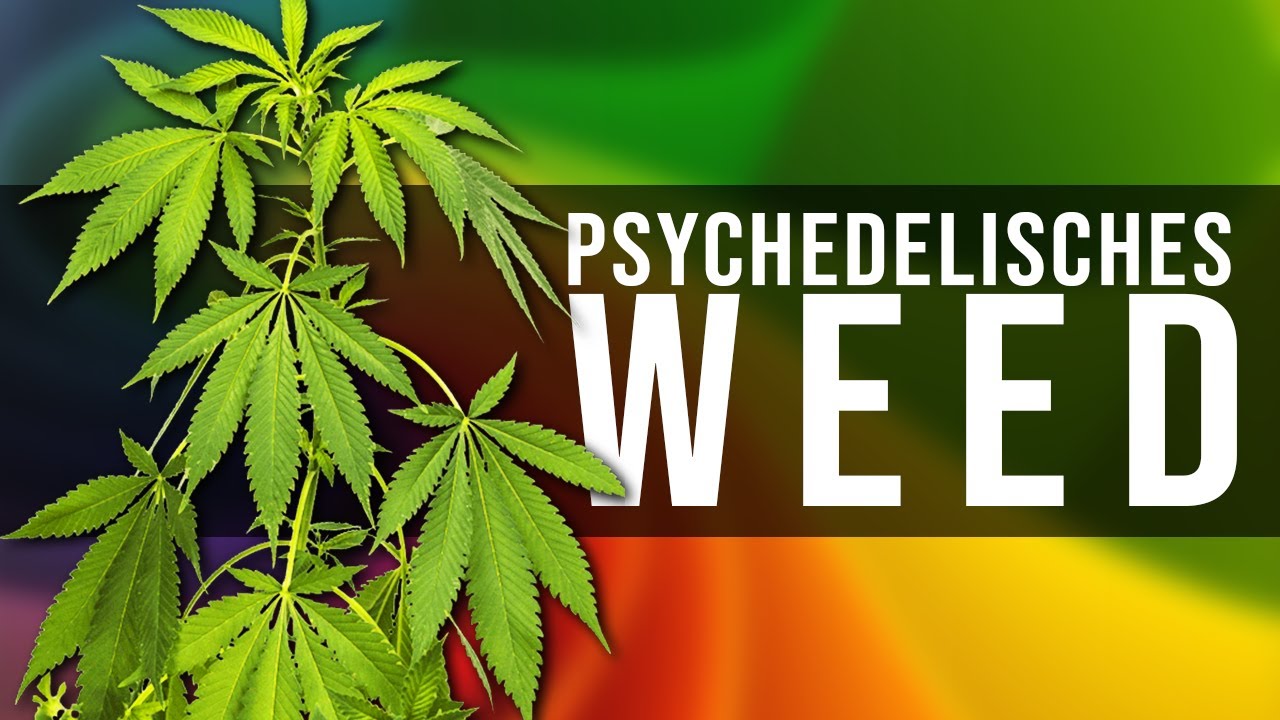 Cannabis als Werkzeug &ndash; Psychedelischer Safety Guide