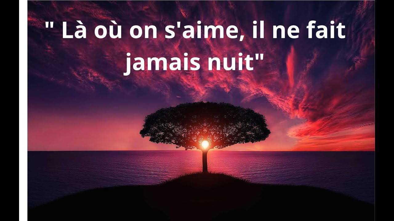 15 MAGNIFIQUES CITATIONS ET PROVERBES SUR L' AMOUR   #citations  #proverbes