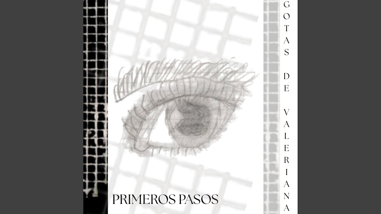 Primeros Pasos