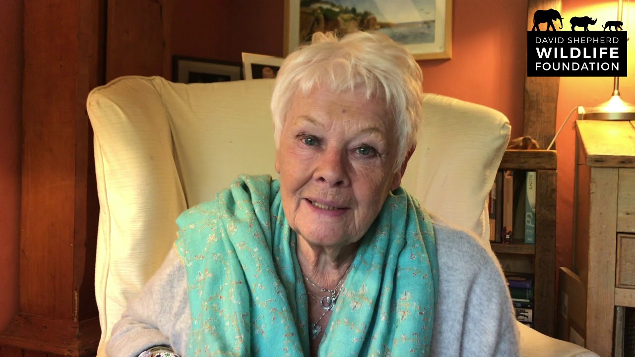 Virtual Wildlife Ball 2020 – An Invitation from Dame Judi Dench