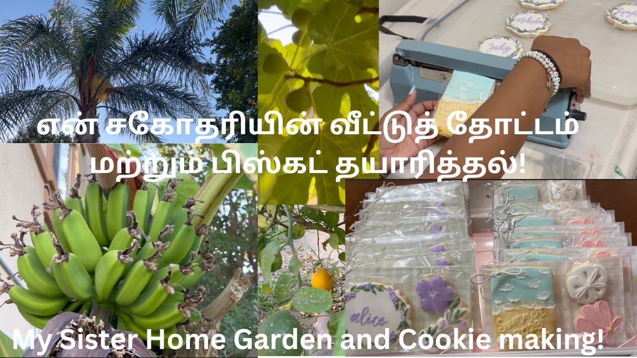 என் சகோதரி கலிபோர்னியா வீட்டுத் தோட்டம்|My sister California Home Garden|Cookie Making|Vacation