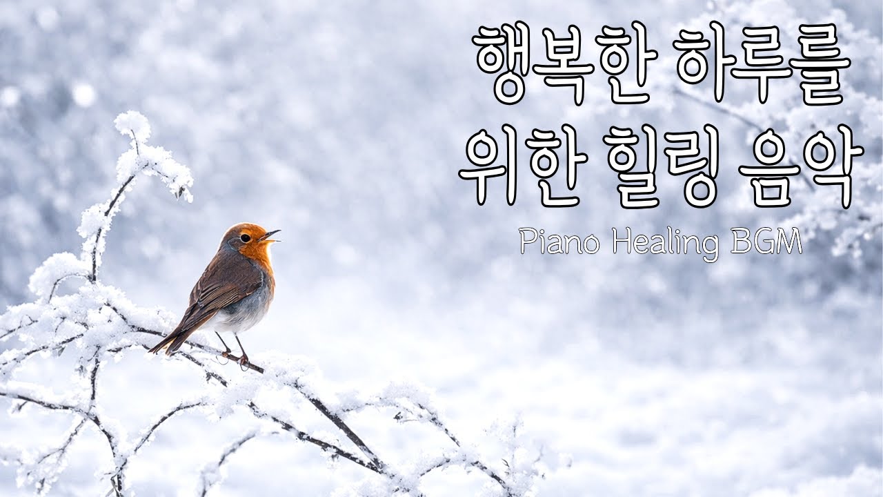 🌤️ 하루의 시작🎧 듣는 순간 마음이 편안해지는 피아노 배경음악 🎵 | Peaceful Winter Morning Piano Music to Soothe Your Soul