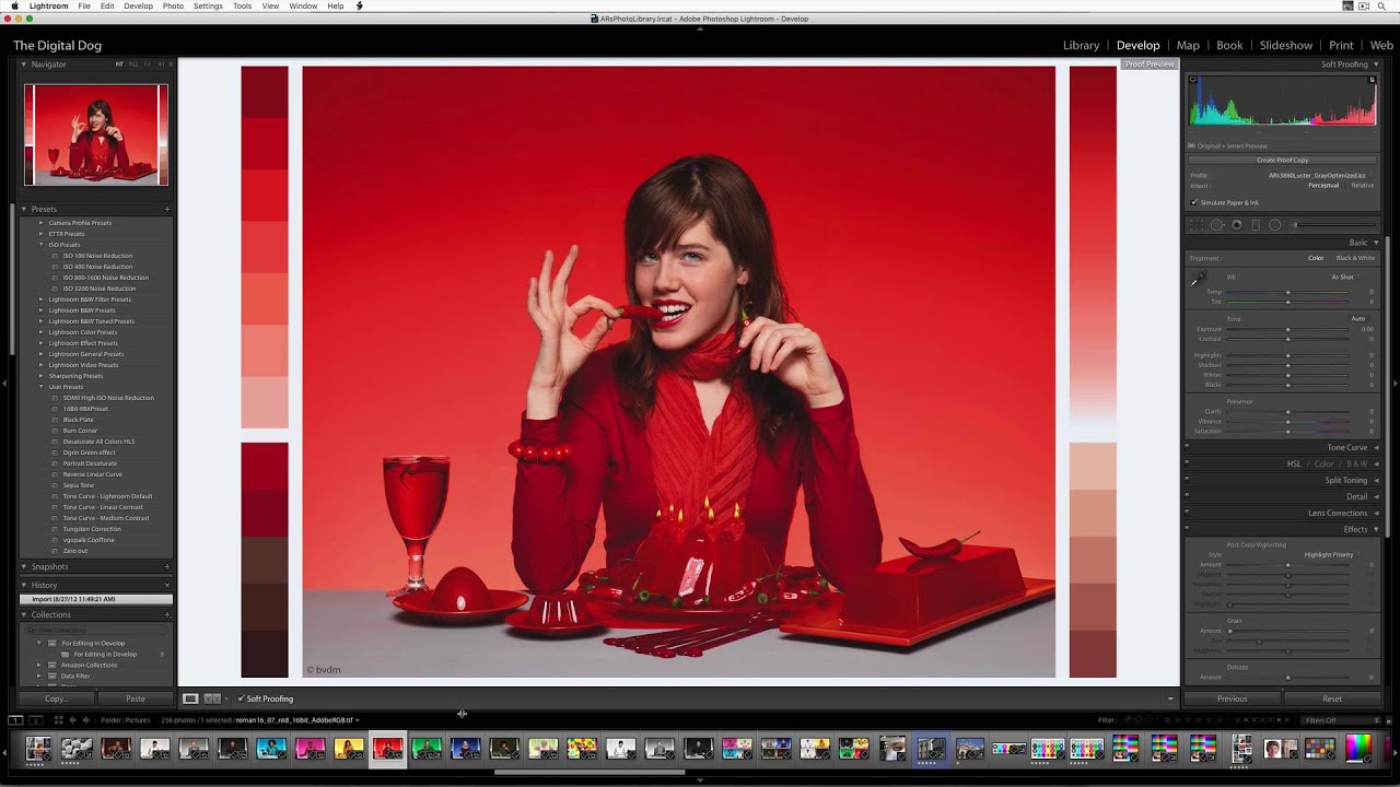 The Out Of Gamut overlay in Photoshop and Lightroom