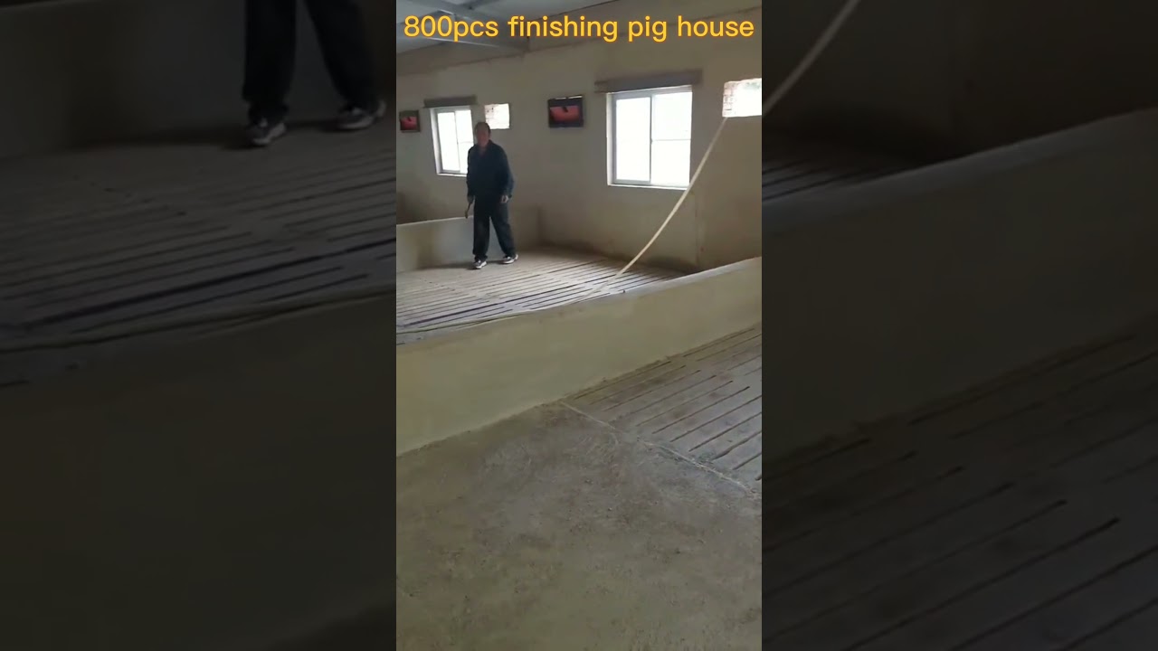 800pcs pig house