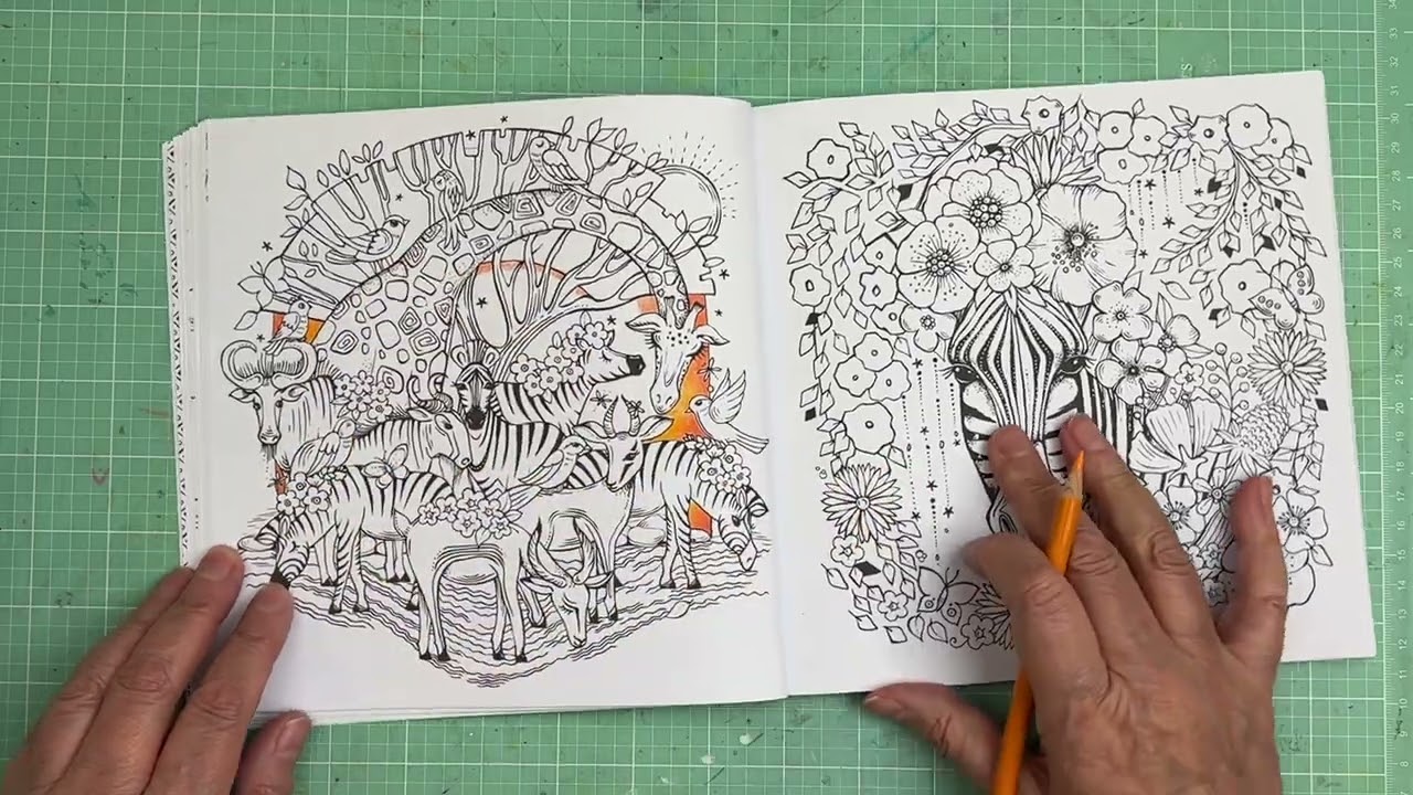 Colour Along- Meine Reise Durch Afrika Part 1/2 (Life Update)