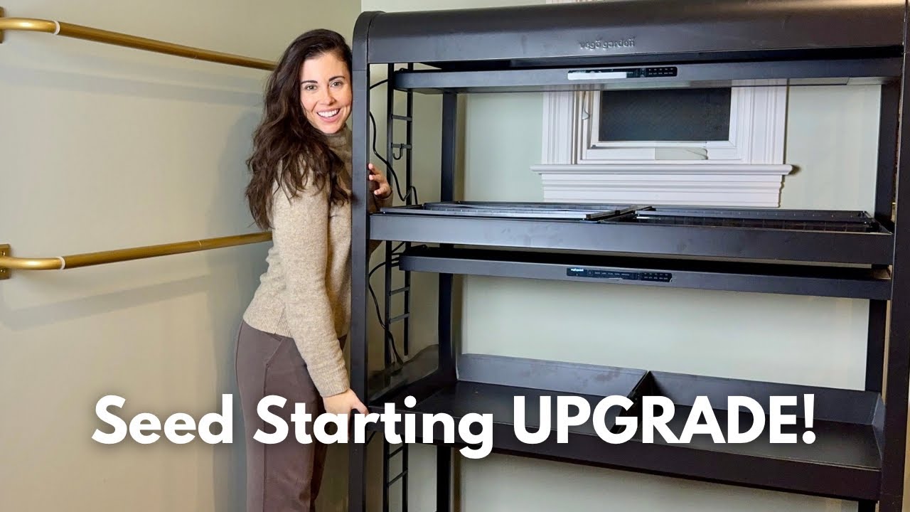 Seed Starting Upgrade! Unpaid Vego Grow Light Review 🌱