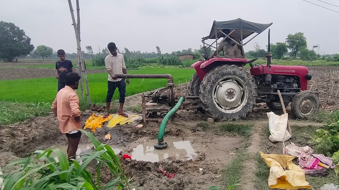 new bore trayal