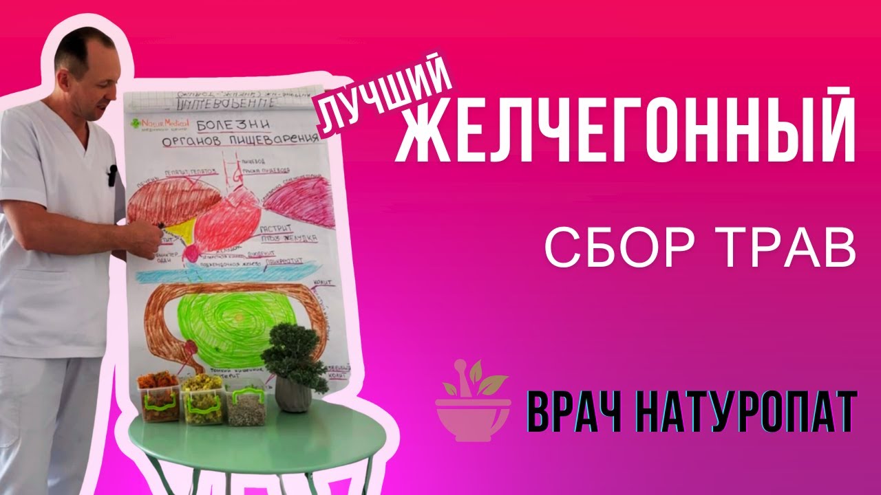 Три лекарственных растения, которые убирают застой желчи, снимают спазм и дают желчегонный эффект