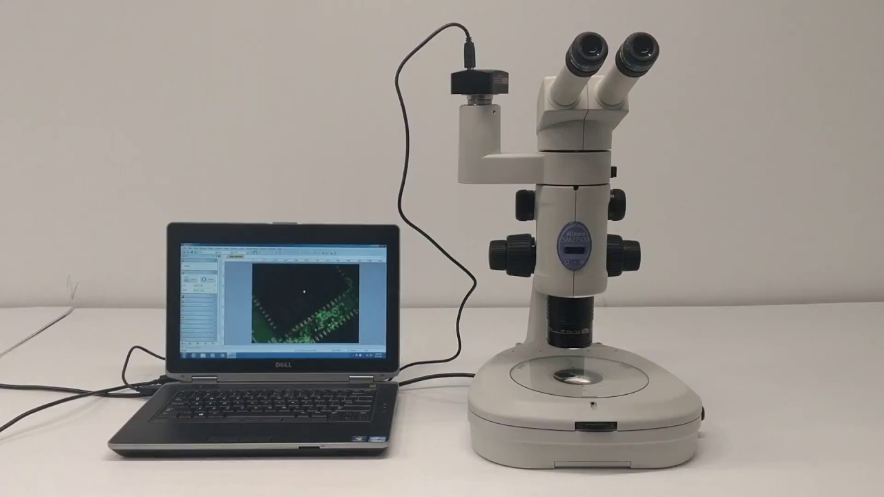 Nikon SMZ1500 Stereoscope Stereo Zoom Microscope Pred. SMZ25 [BOSTONIND] - 13467